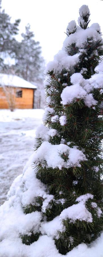 Воллен Zhvanets Bagian luar foto