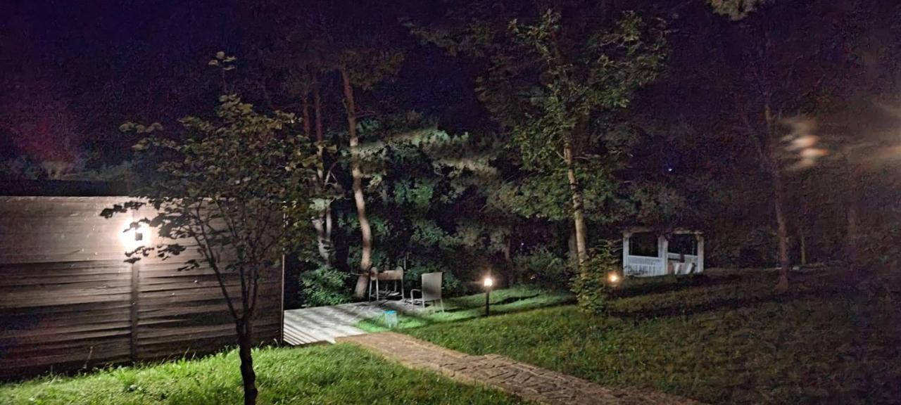 Воллен Zhvanets Bagian luar foto