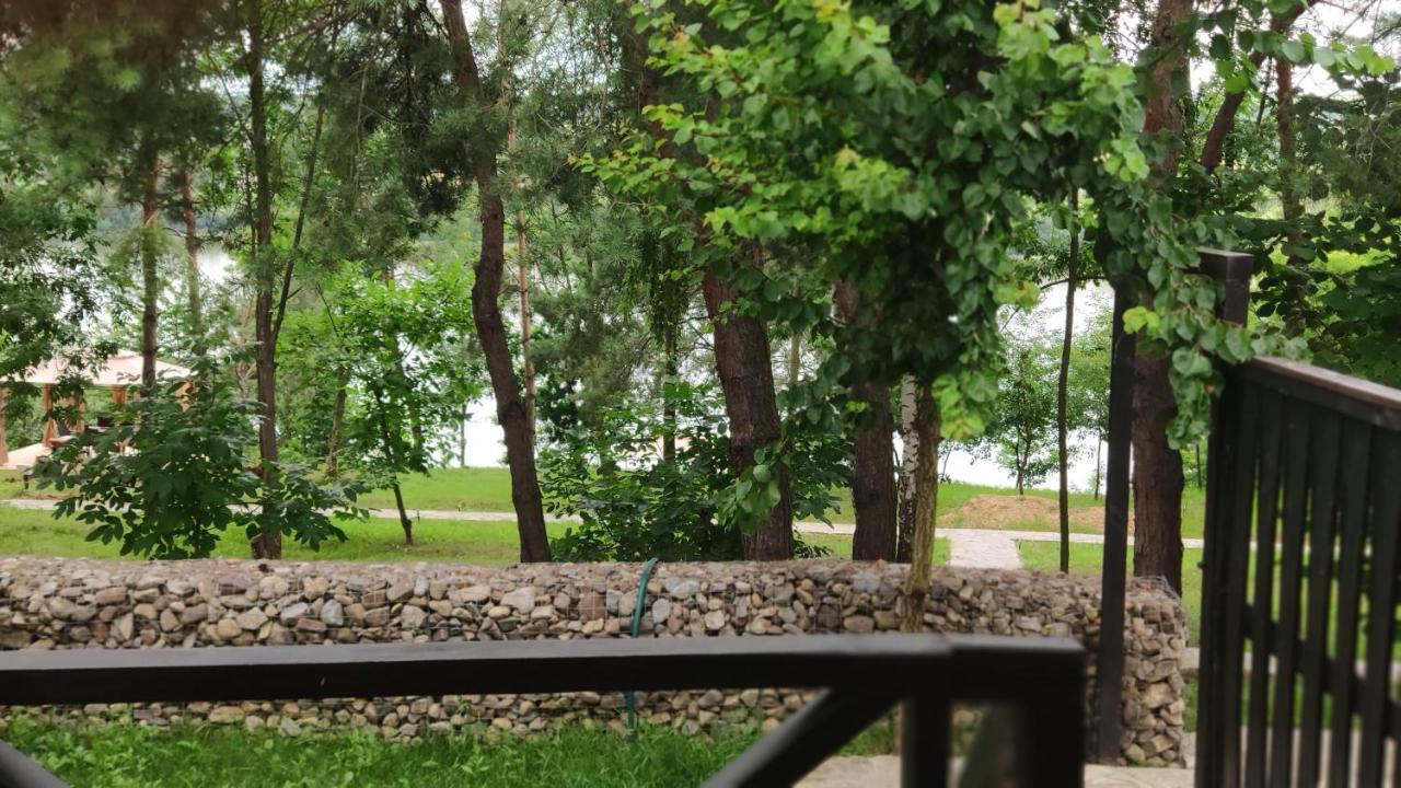 Воллен Zhvanets Bagian luar foto