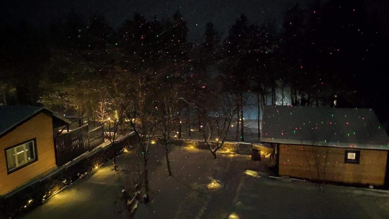 Воллен Zhvanets Bagian luar foto
