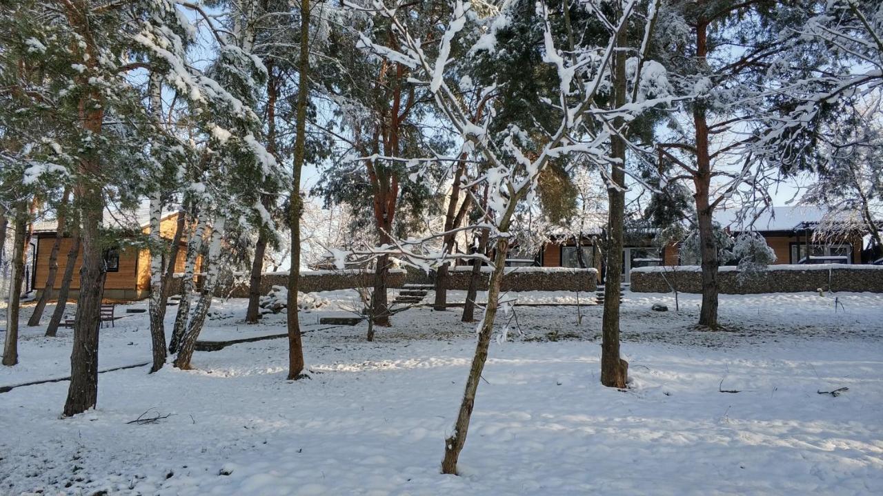 Воллен Zhvanets Bagian luar foto