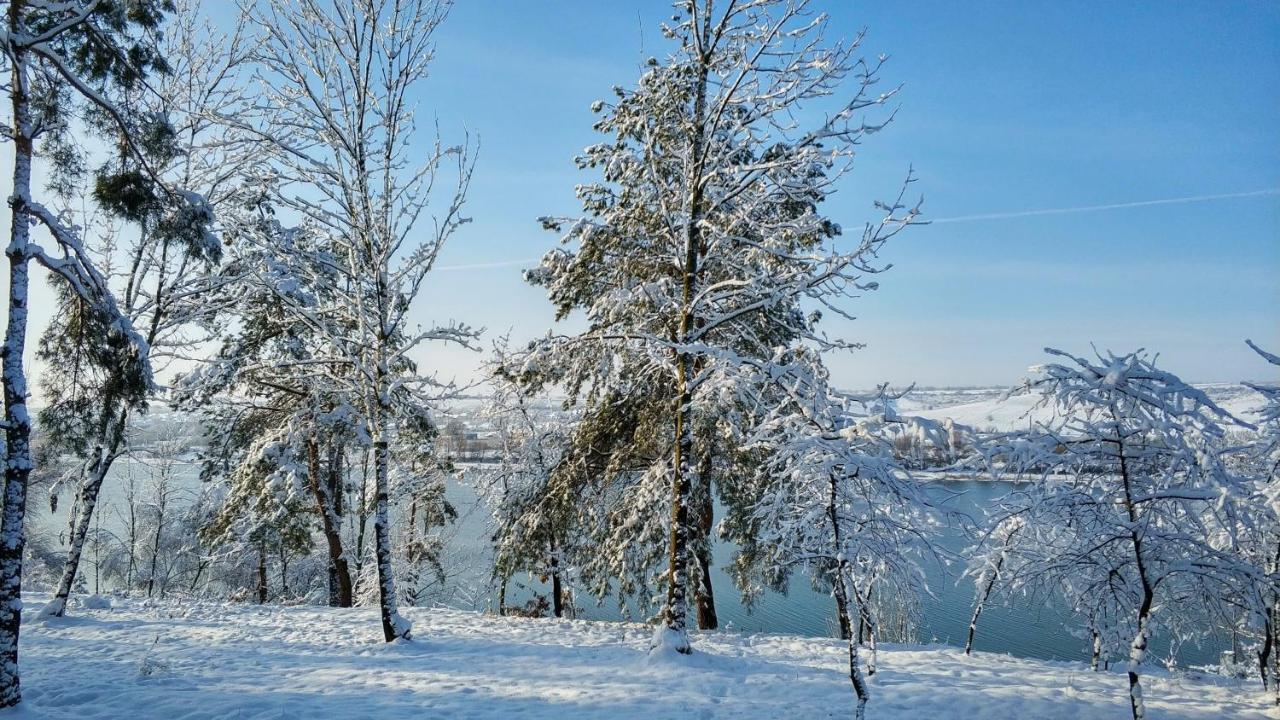 Воллен Zhvanets Bagian luar foto