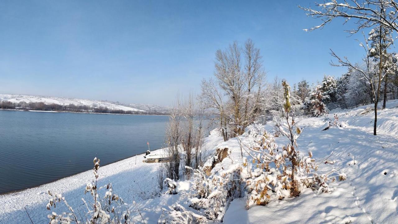 Воллен Zhvanets Bagian luar foto