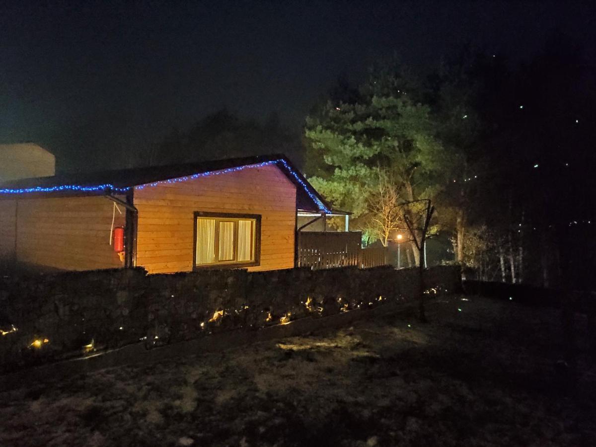 Воллен Zhvanets Bagian luar foto
